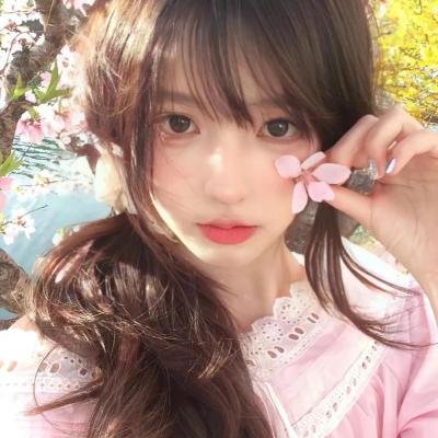 猫咪心动奇迹